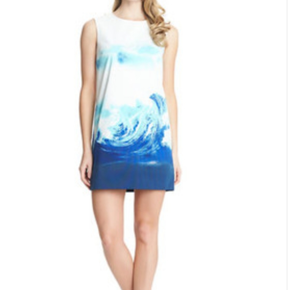 Cynthia Steffe Courtney wave shift dress